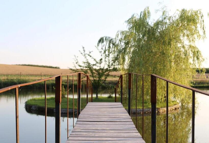 ホテル Agrowczasy Nad Stawem