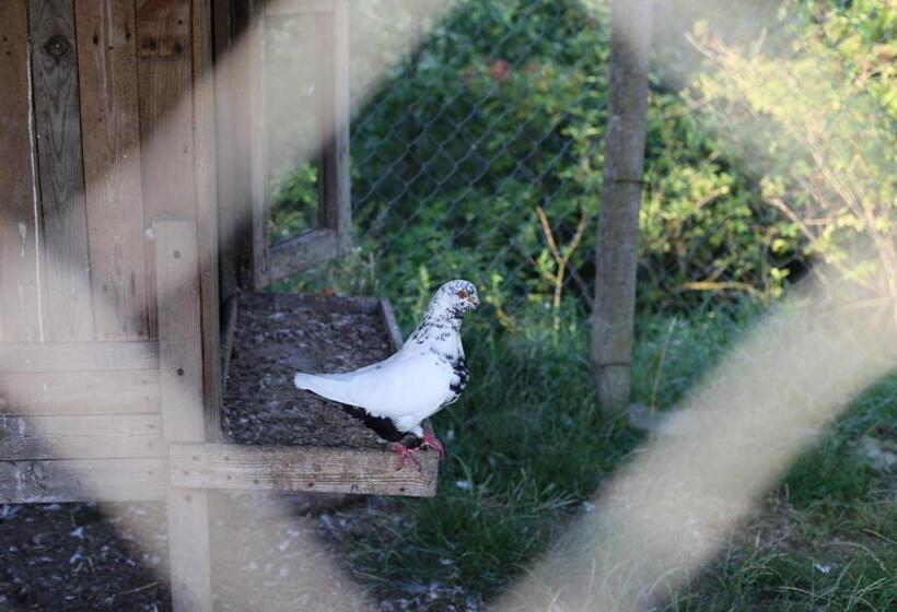 فندق Agrowczasy Nad Stawem