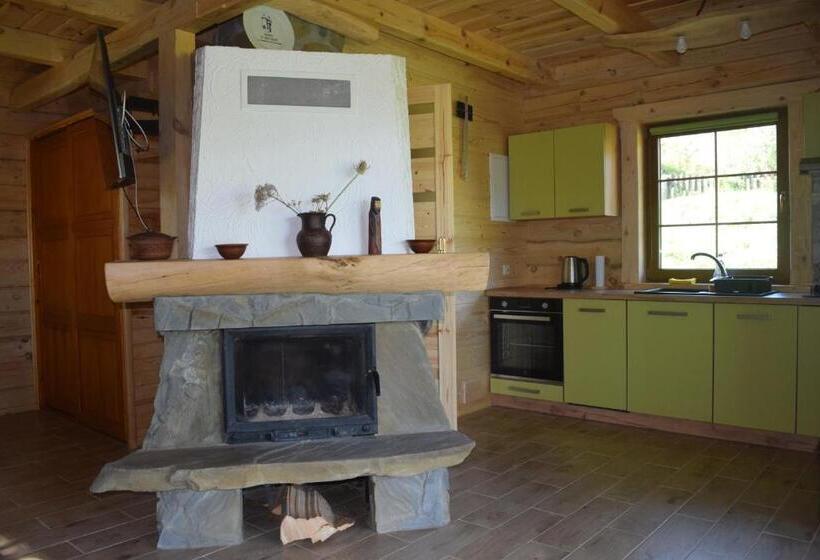 酒店 Apartamenty Pod Werchowyną