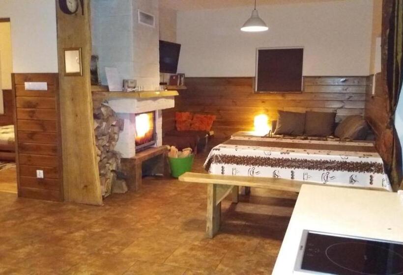 ホテル Apartamenty Swojskie Klimaty