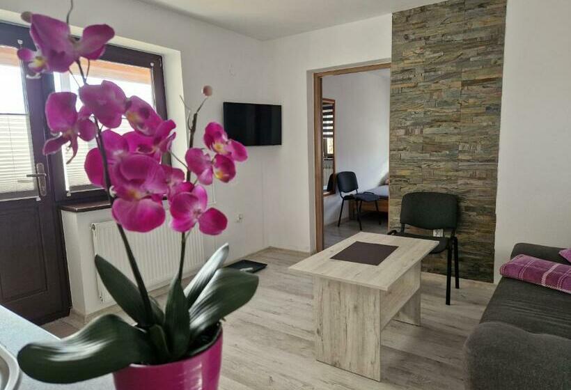 ホテル Apartamenty U Krystyny