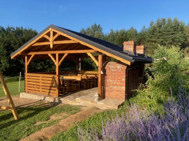 Отель Baba Jagna