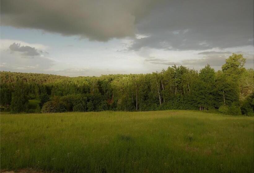 Отель Baba Jagna