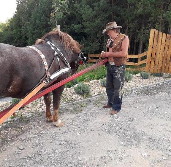 Отель Baba Jagna