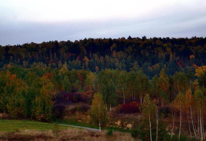 Отель Baba Jagna