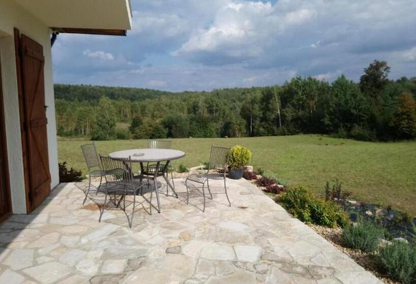 Отель Baba Jagna