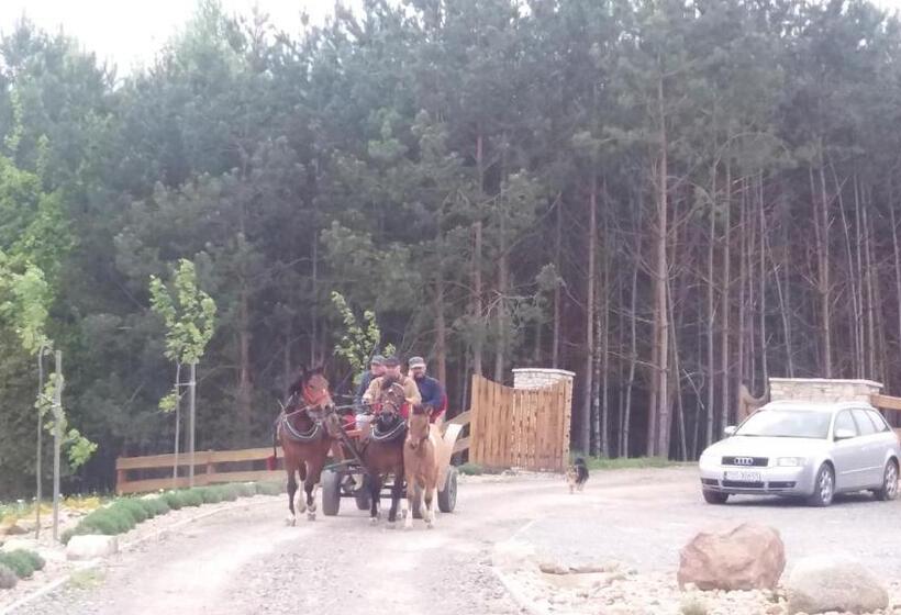 Отель Baba Jagna