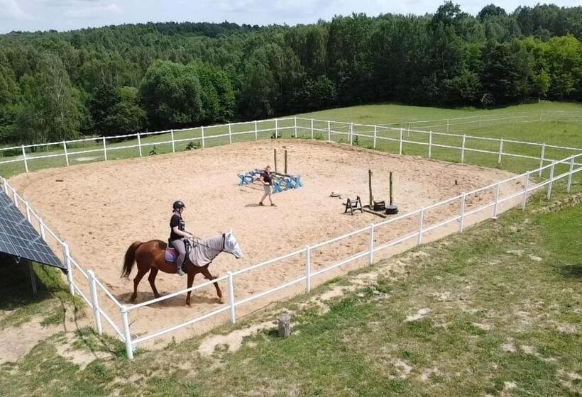 Отель Baba Jagna