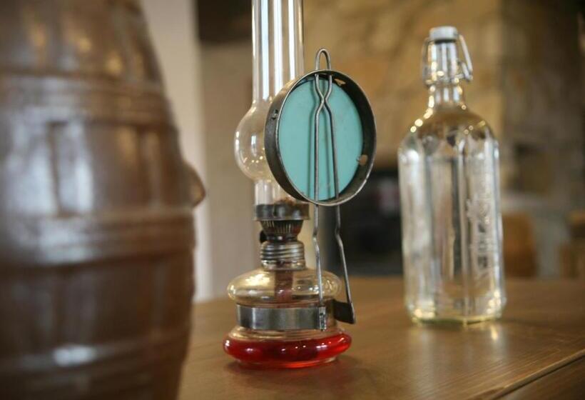 Отель Baba Jagna