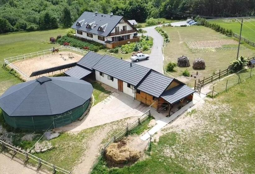 Отель Baba Jagna