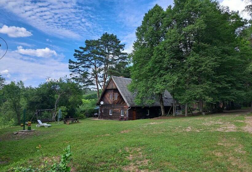 فندق Chatka Kurki