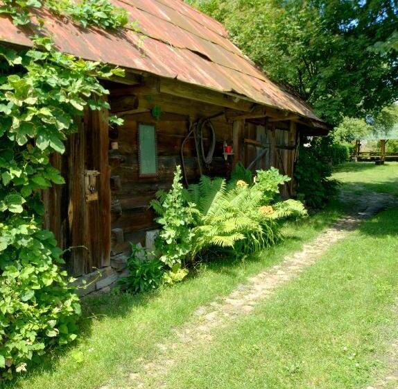 Отель Dom Słoneczko Pokoje Do Wynajęcia W Białowieży