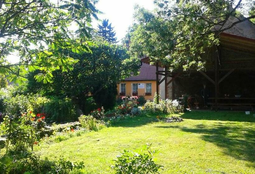 בית מלון כפרי Dworek Albinia