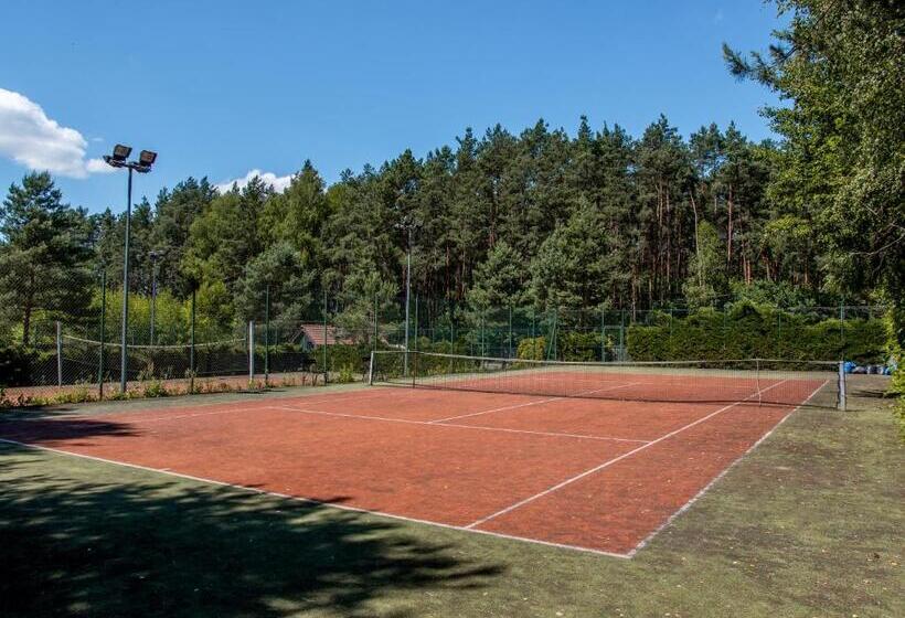 בית מלון כפרי Glass Residence