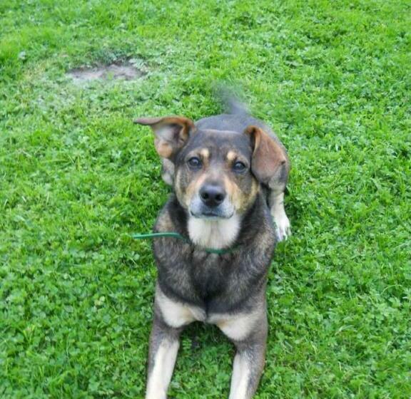 酒店 Gospodarstwo Agroturystyczne Dolina Zachwytu