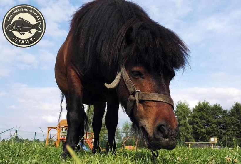 酒店 Gospodarstwo Rybackie Stawy