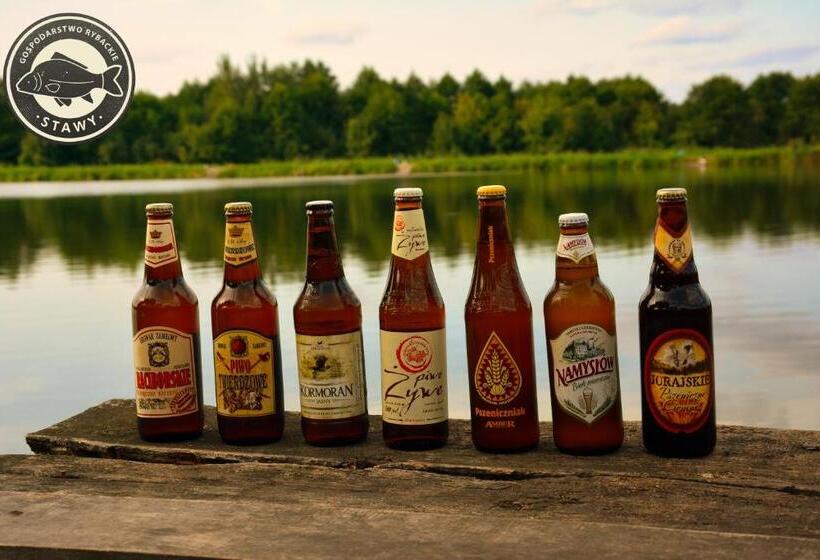 酒店 Gospodarstwo Rybackie Stawy