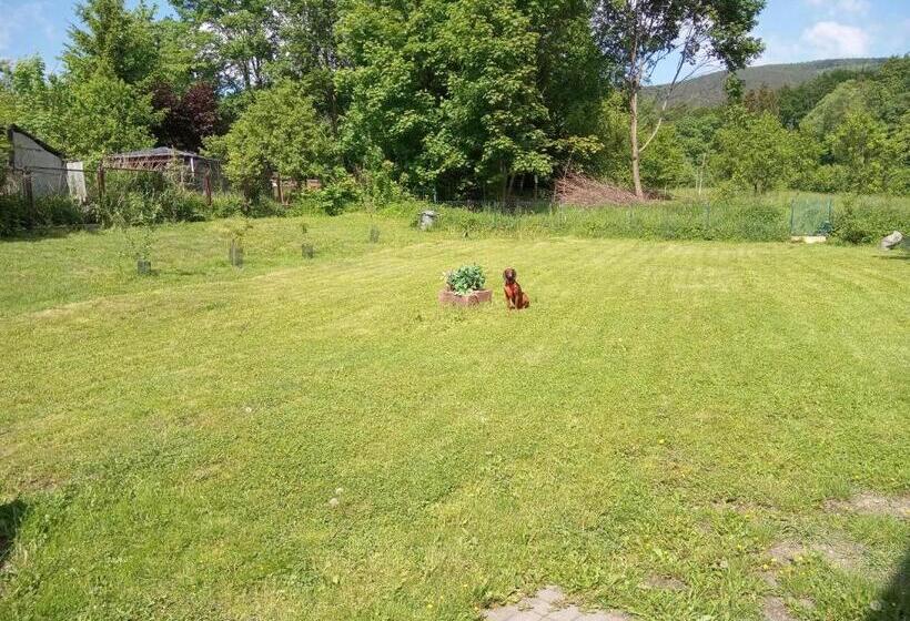 בית מלון כפרי Hanter5