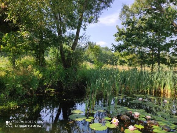 בית מלון כפרי Jabłkowo Na Skraju Puszczy Boreckiej śniadania W Cenie
