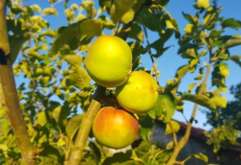 בית מלון כפרי Jabłkowo Na Skraju Puszczy Boreckiej śniadania W Cenie