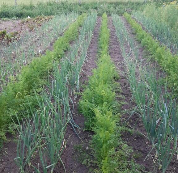 בית מלון כפרי Jabłkowo Na Skraju Puszczy Boreckiej śniadania W Cenie