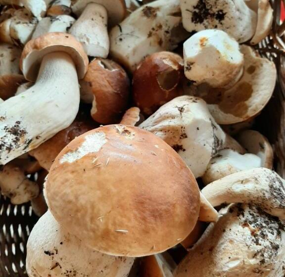 בית מלון כפרי Jabłkowo Na Skraju Puszczy Boreckiej śniadania W Cenie