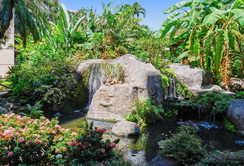 هتل Kaanapali Shores 732