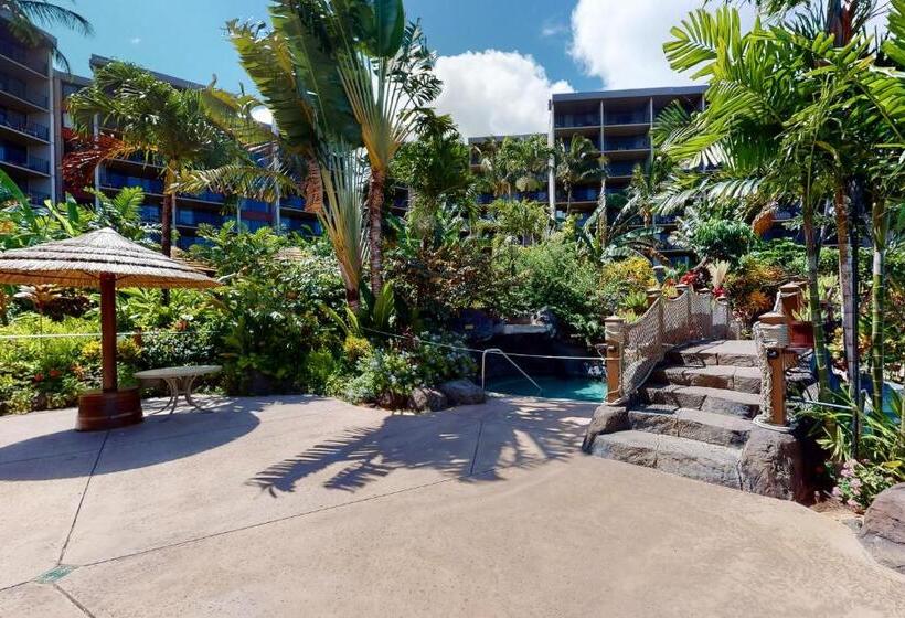 هتل Kaanapali Shores 732