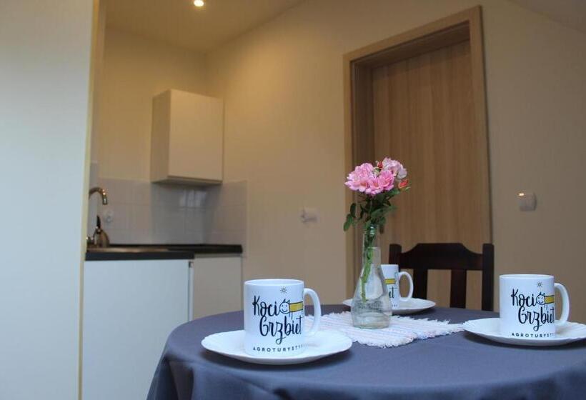 בית מלון כפרי Koci Grzbiet Agroturystyka