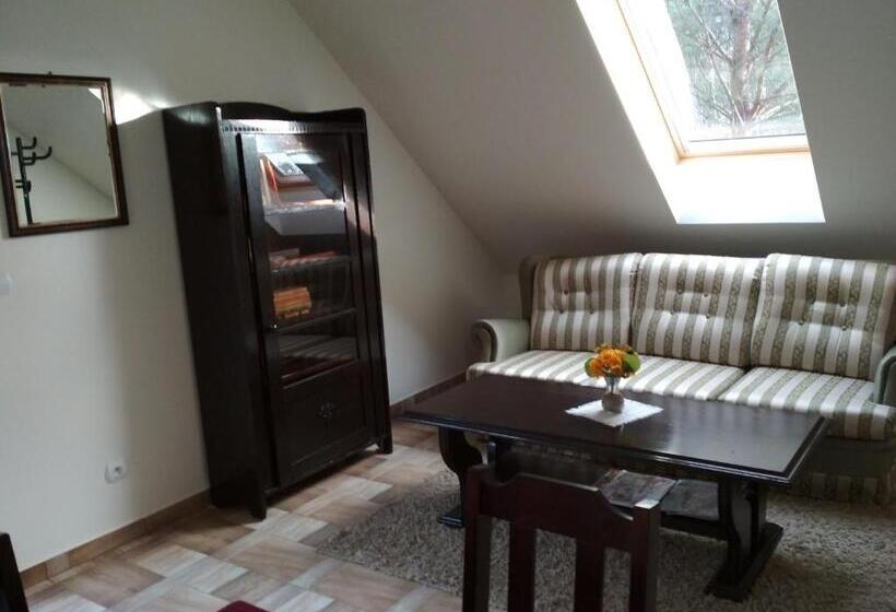 בית מלון כפרי Koci Grzbiet Agroturystyka