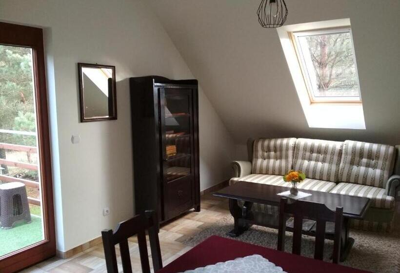 בית מלון כפרי Koci Grzbiet Agroturystyka