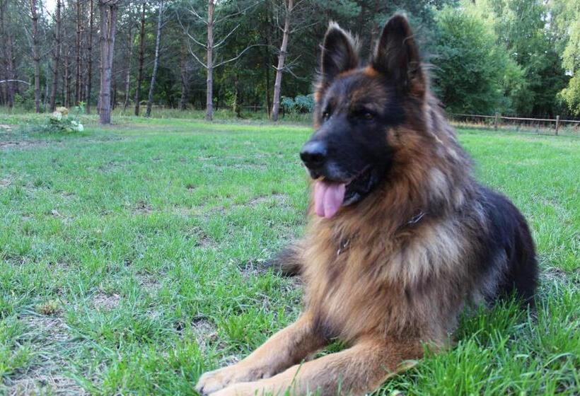 בית מלון כפרי Koci Grzbiet Agroturystyka