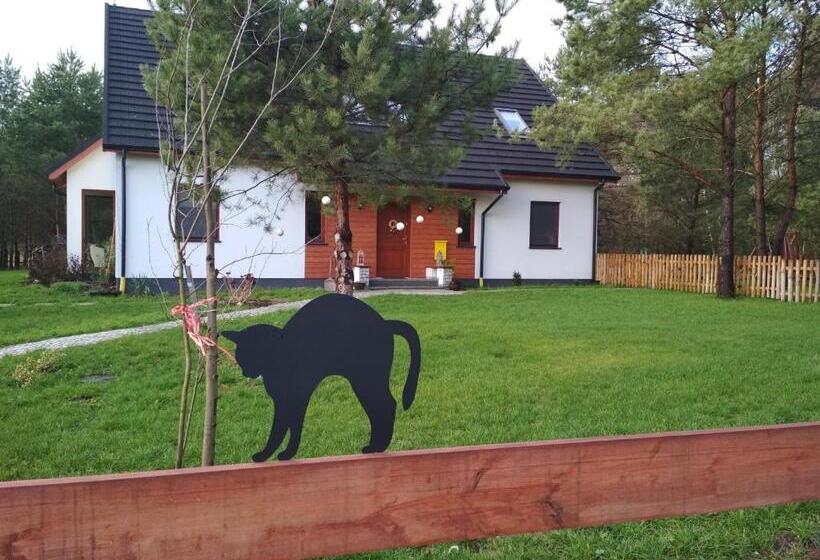 בית מלון כפרי Koci Grzbiet Agroturystyka