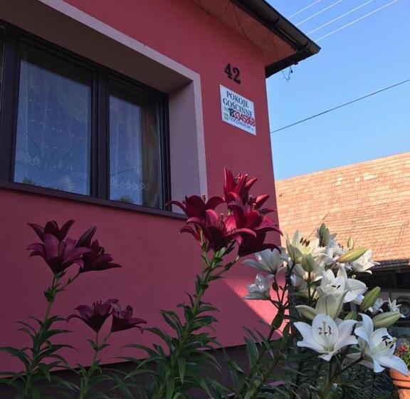 فندق Malinowy Domek