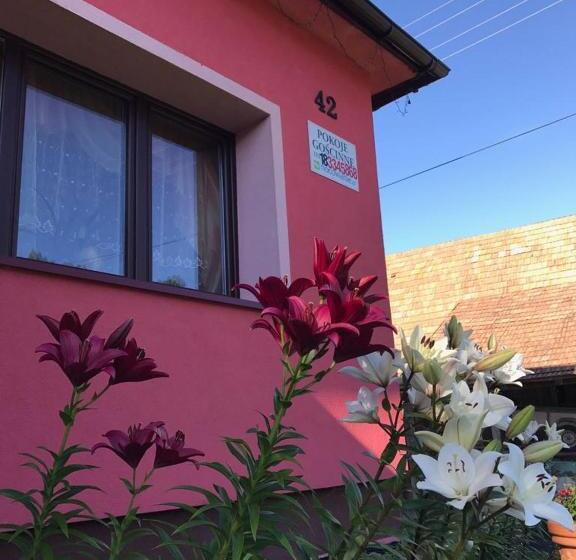 فندق Malinowy Domek