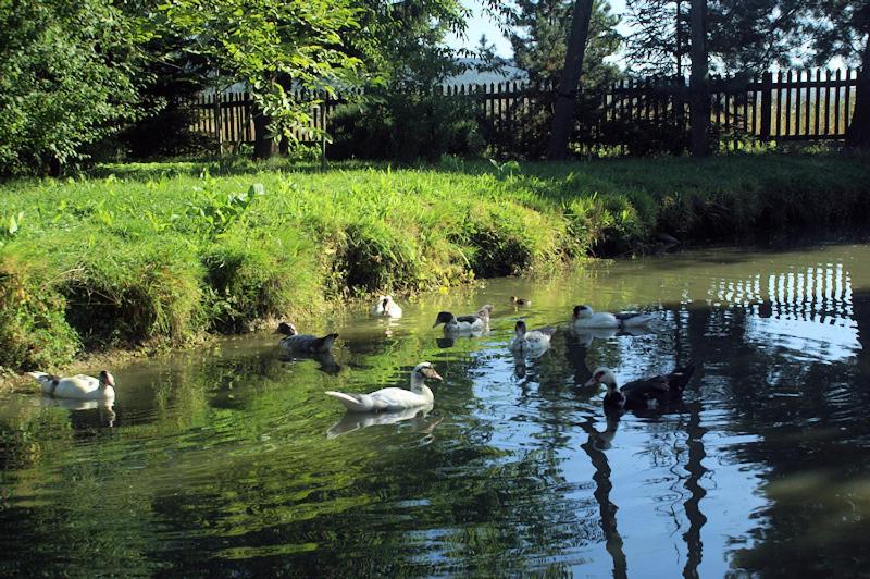 בית מלון כפרי Mendokowe Ranczo