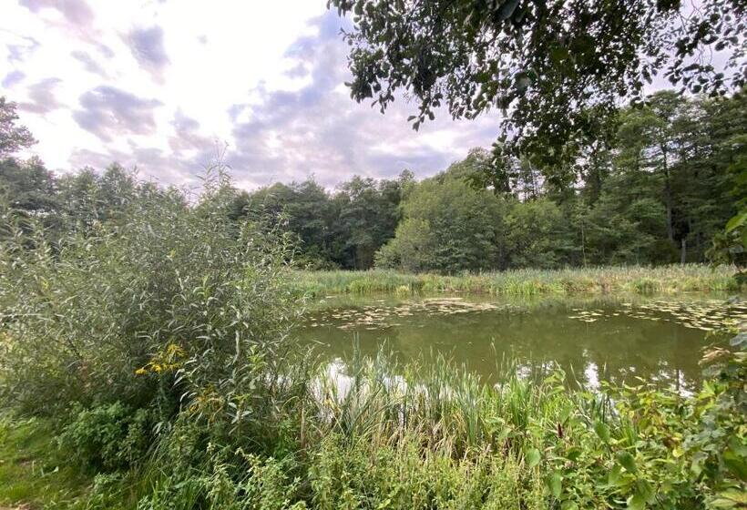 ホテル Mlyn Wodny Eko Hillar