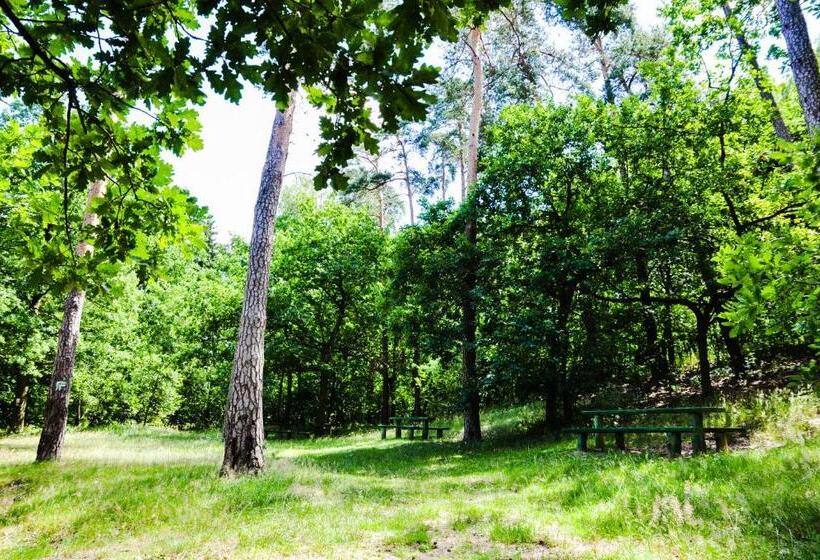 فندق Modrzewiowe Wzgorze