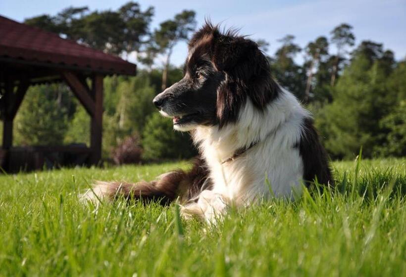 فندق Modrzewiowe Wzgorze