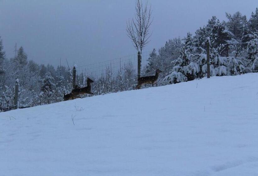 בית מלון כפרי Nad Zalewem