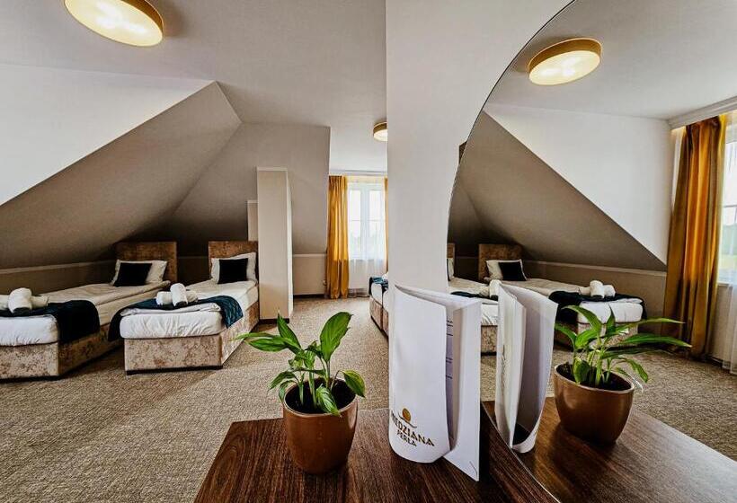 בית מלון כפרי Pensjonat Miedziana Perła Lubin