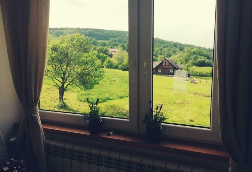 酒店 Pokoje Goscinne U Olguni