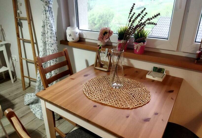 酒店 Pokoje Goscinne U Olguni