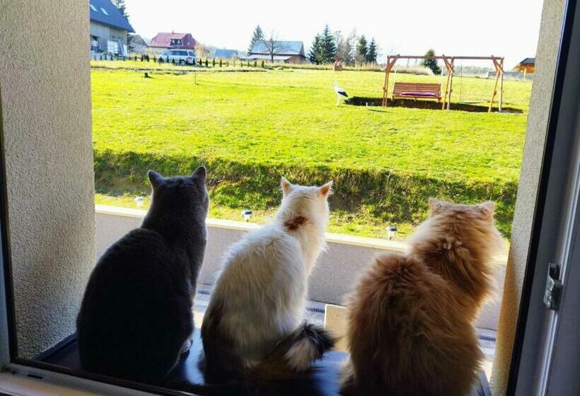 酒店 Pokoje Goscinne U Olguni