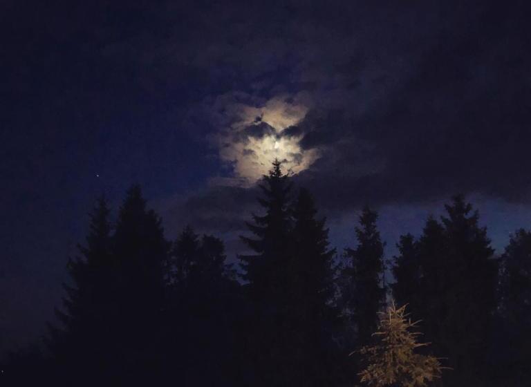 ホテル Restauracja U Guta