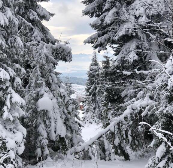 ホテル Restauracja U Guta