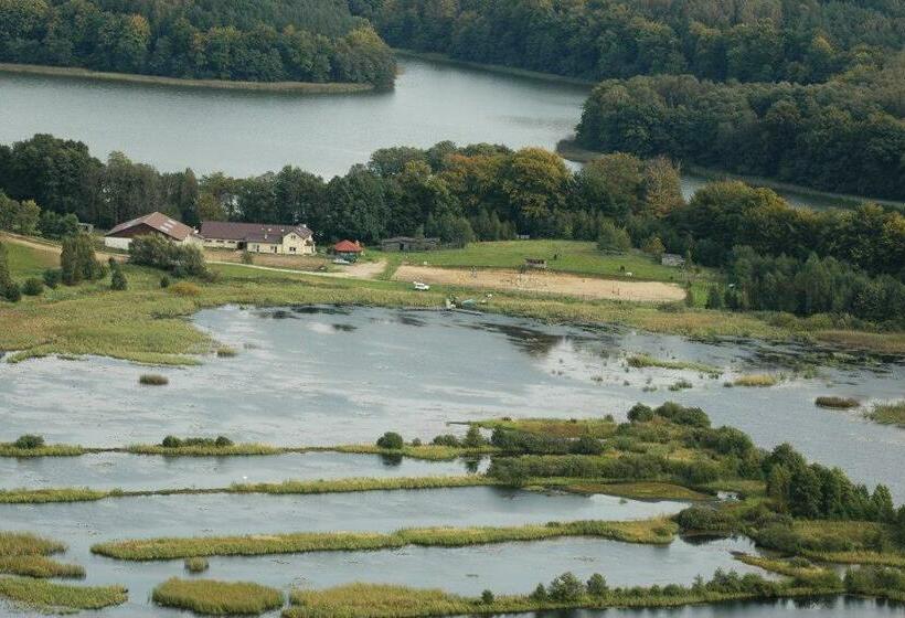 ホテル Stajnia Grazyny Mikorowo 46