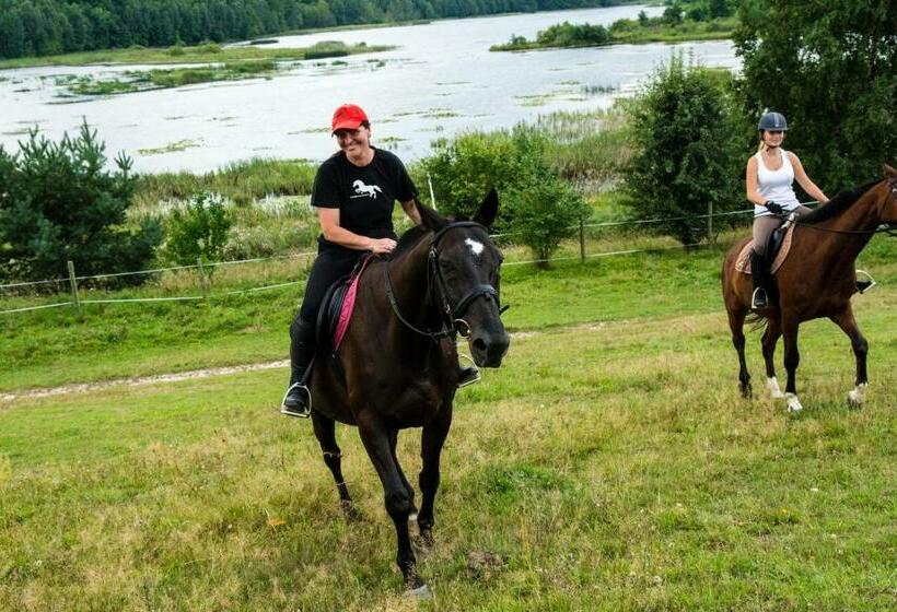 ホテル Stajnia Grazyny Mikorowo 46