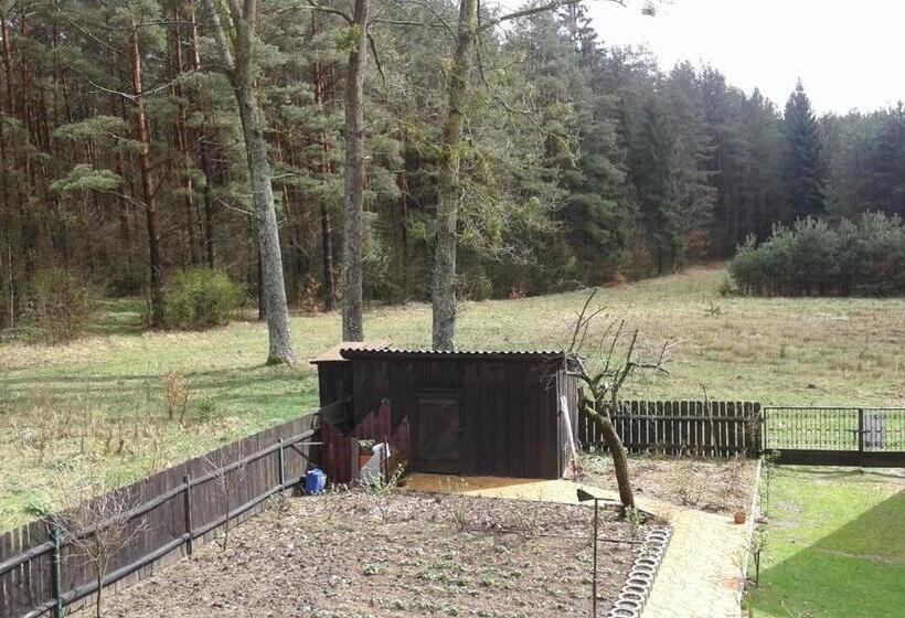 ホテル Uroczysko Ostoja