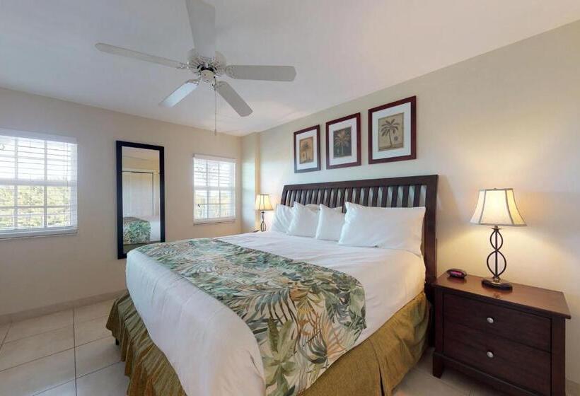 فندق Vitamin Sea